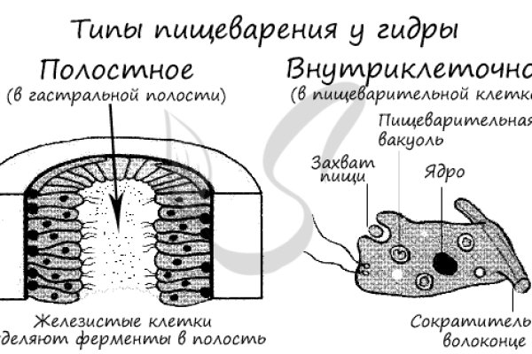 Кракен площадка vk2 top