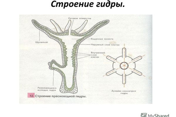 Не работает сайт kraken