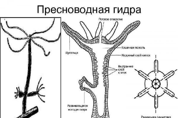 Кракен kr2web in маркетплейс