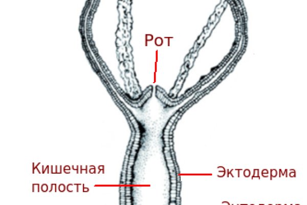 Kraken даркнет маркет