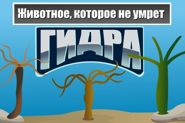 Kraken зеркало тор